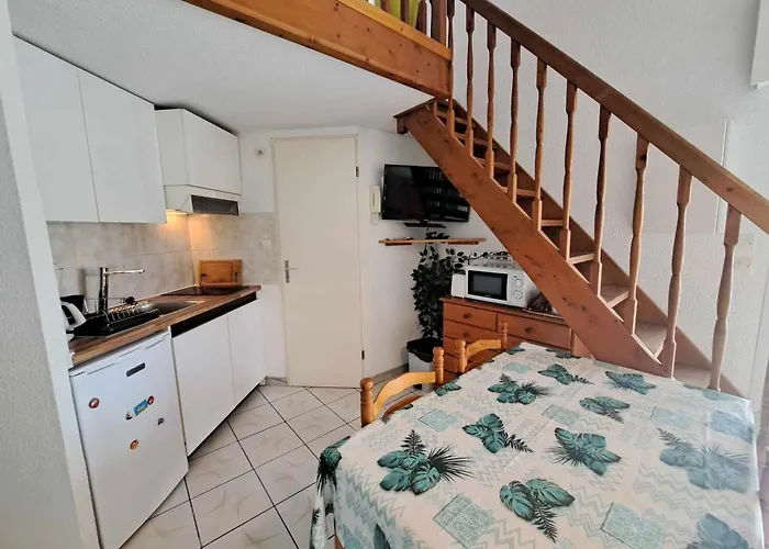 Acces Direct Plage! T2 Mezzanine Avec Terrasse Et Parking Prive - Fr-1-326-833 Apartment