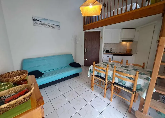 Acces Direct Plage! T2 Mezzanine Avec Terrasse Et Parking Prive - Fr-1-326-833 Apartment *